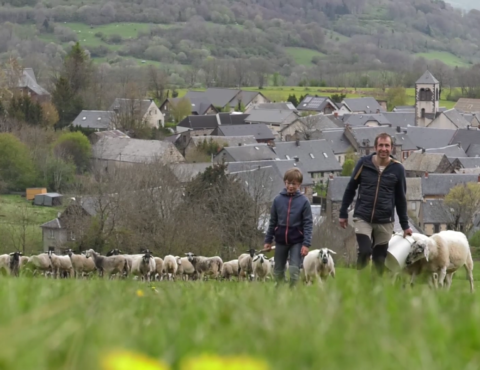 La filière ovine recrute